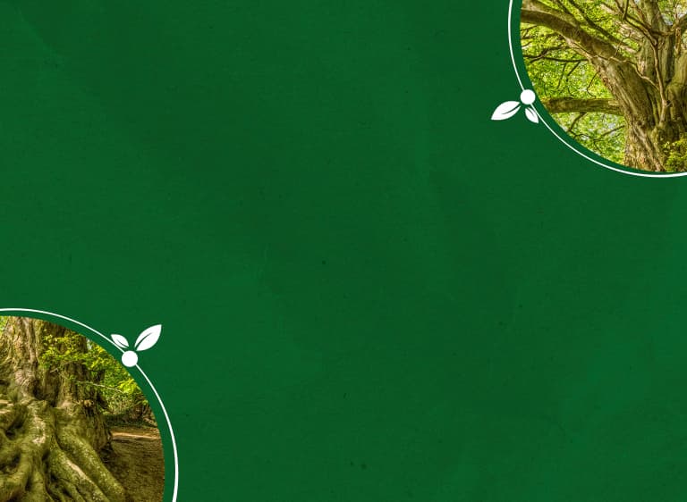 Sustentabilidade - ESG