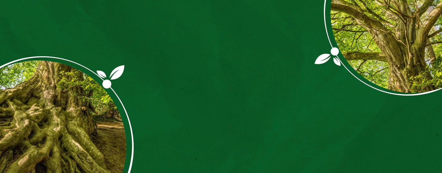 Sustentabilidade - ESG 